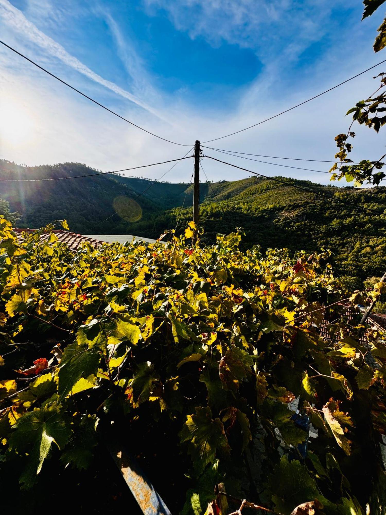 Mountain Maries (Thasos)